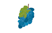 Citerne souple pour effluents vini viticole